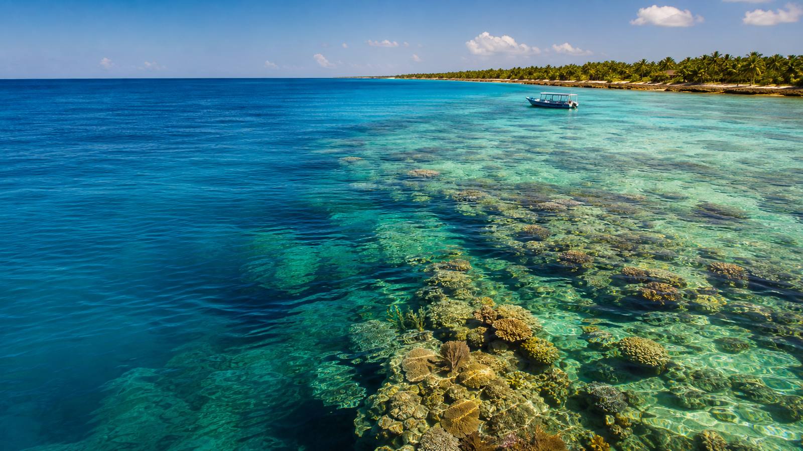 Clear Caribbean water over a coral reef near Cozumel