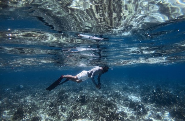Snorkeler swimming above a shallow coral reef